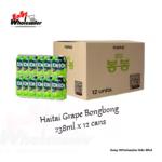 Haitai Grape Bongbong 238ml