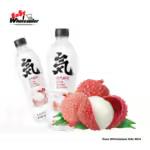 Genki Lychee 480ml