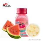 Dosfarm Sugar Free Mints Watermelon Bottle 22g