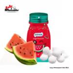 Dosfarm Sugar Free Mints Watermelon Packet 16g